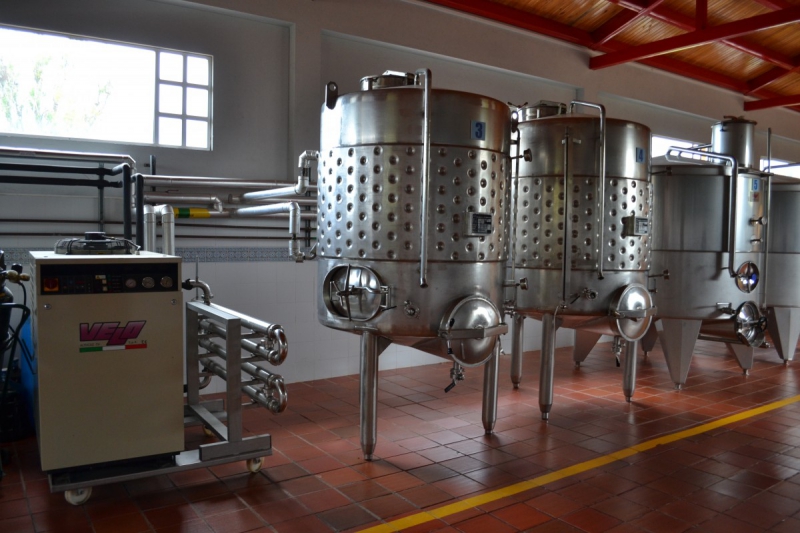 cave-CARQUEIRANNE-min_wine_production_cantine_winery_drink_alcohol_vine_beverage-902036